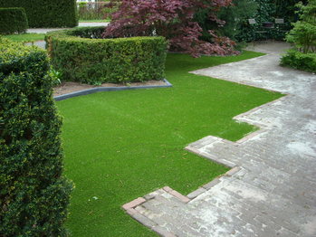 Schaduw in tuin waar geen gras wilt groeien