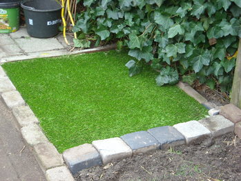 Problemen met gewoon gras