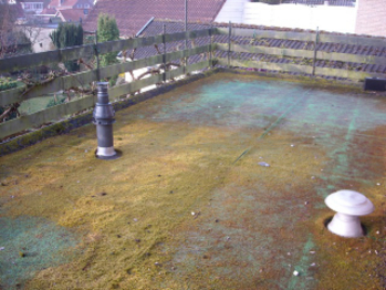Kunstgras Epe