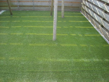 Podmore schommel kunstgras
