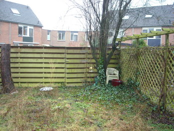 Kunstgras Arnhem