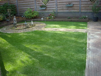 Gras wil niet groeien