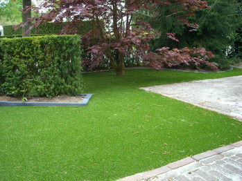 Schaduw in tuin waar geen gras wilt groeien